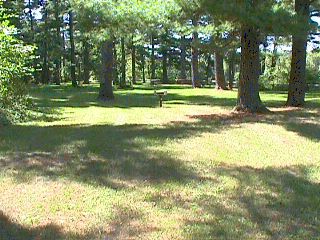 St. Croix River & Hwy 70 bridge.